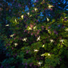Luces de libélula para decoración navideña 5m